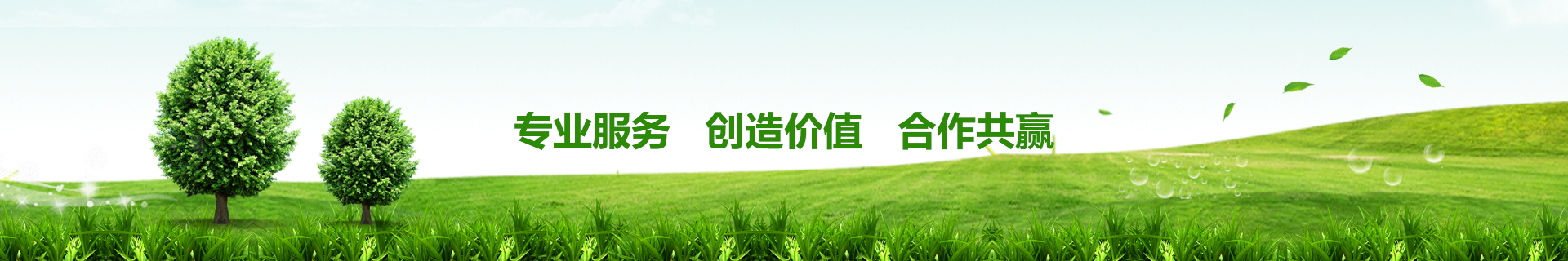搜索結果（guǒ）