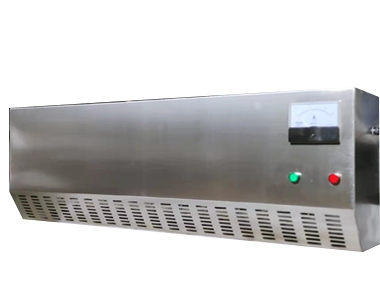 50克壁掛式（shì）臭氧發生器（qì）